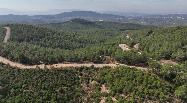 Ova Yolu Düzenlendi