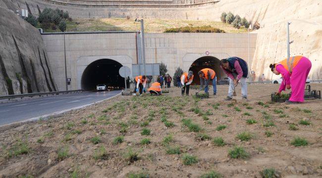  Kuraklığa karşı İzmir’in yeşil örtüsünde dönüşüm 